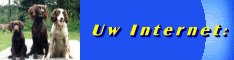 Banner honden.beginthier.nl