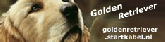 Banner goldenretriever.startkabel.nl